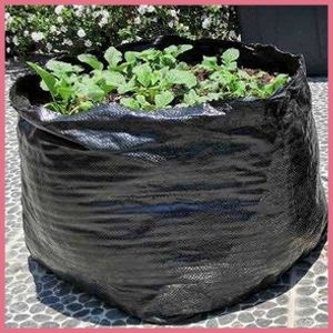 BOLSA HIDROPÓNICA
